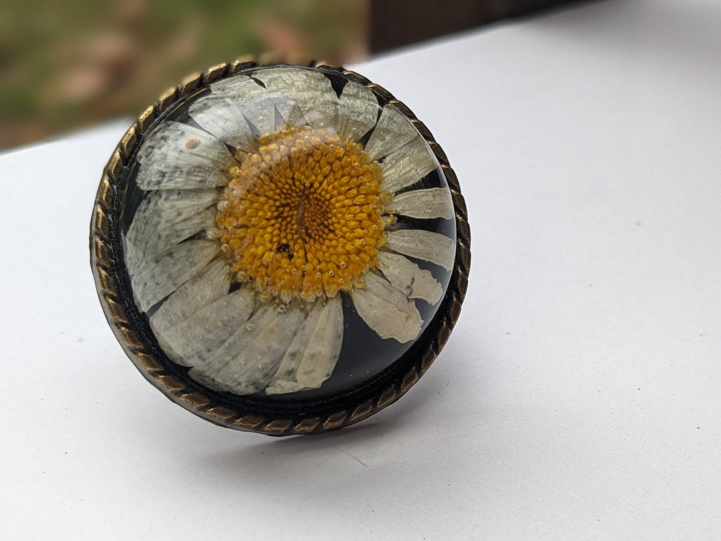 Natural Dried Daisy from the Mountains of Armenia - Filigree Bubble Ring - Cocktail Large Ring - Botanical - Adjustable Ring - Floral Ring